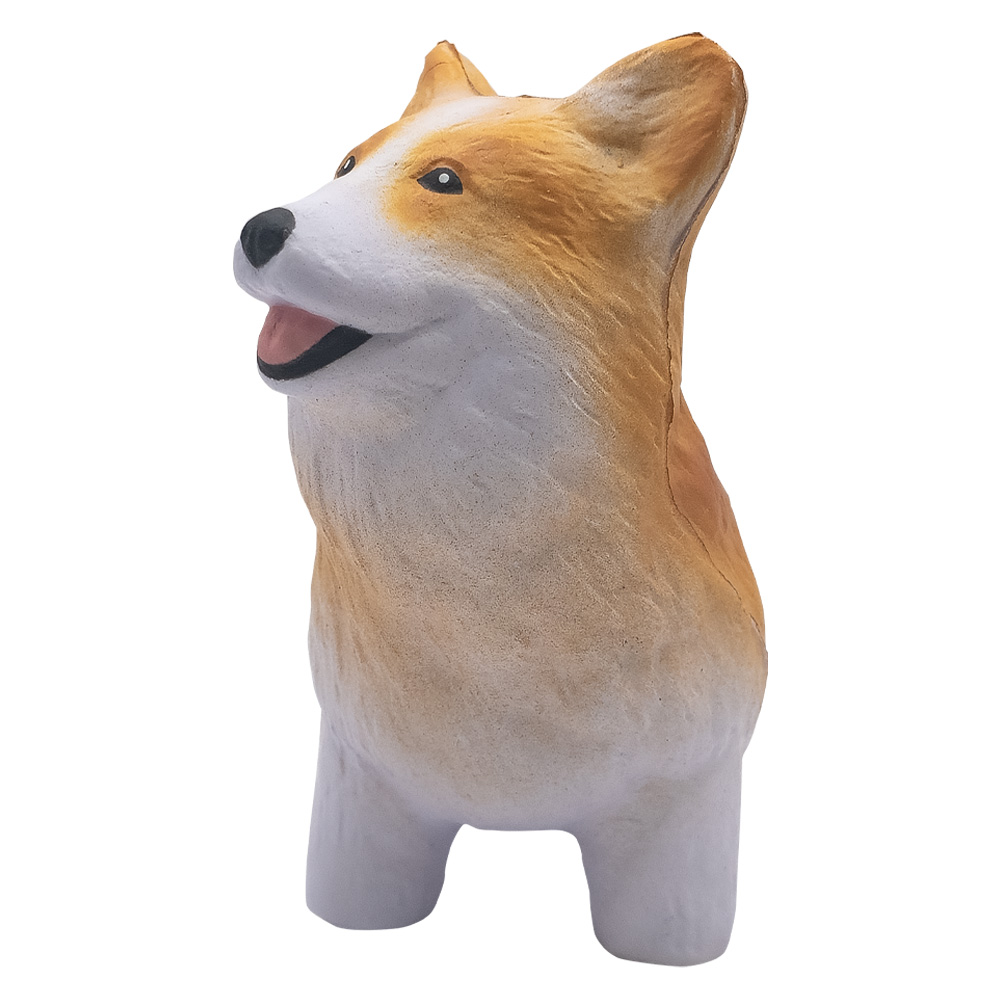 Picture of Corgi
