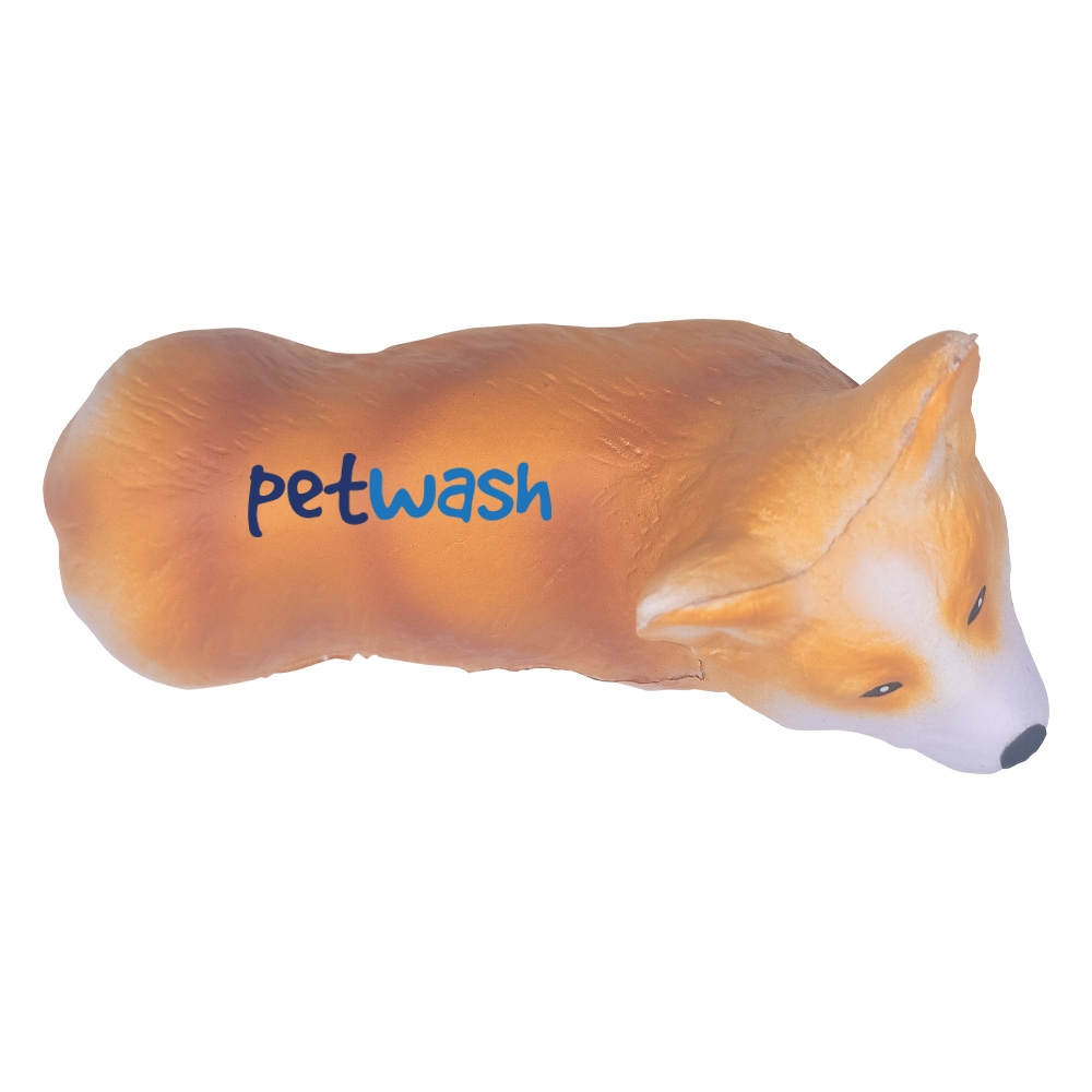 Picture of Corgi