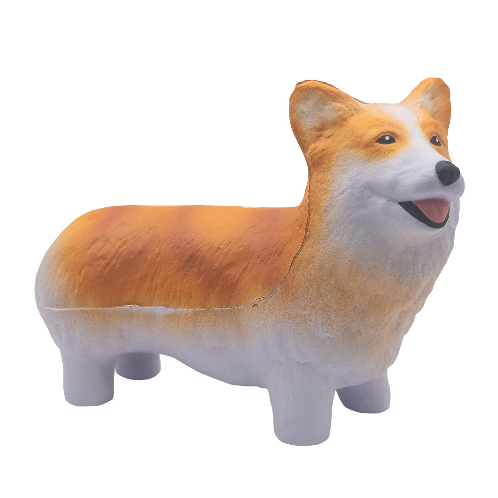 Picture of Corgi