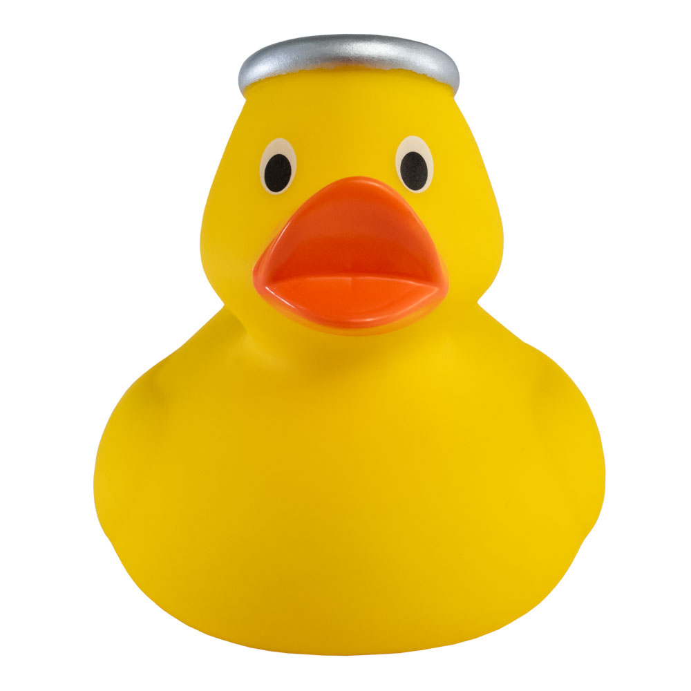 Picture of Angel Duck