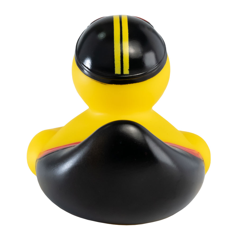 Picture of Swimmer Duck with Weight