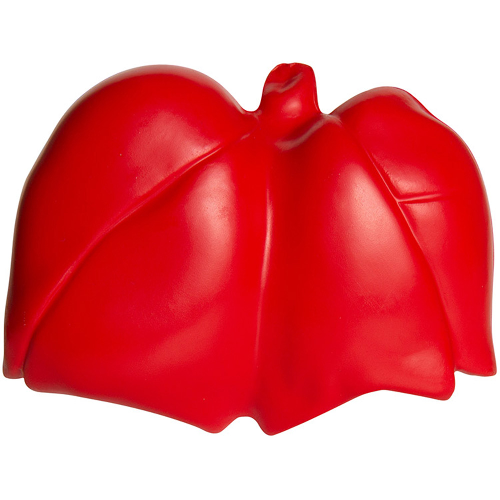 Picture of Lungs Squeezies® Stress Reliever