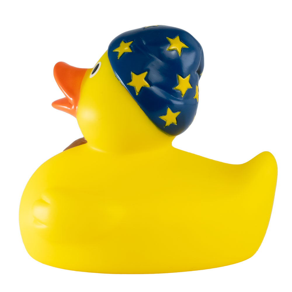 Picture of Bedtime Duck