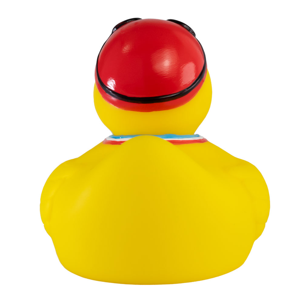 Picture of Gold Medal Duck