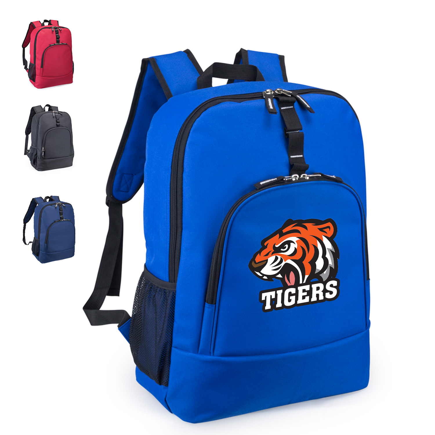 Picture of Traditional Computer Backpack