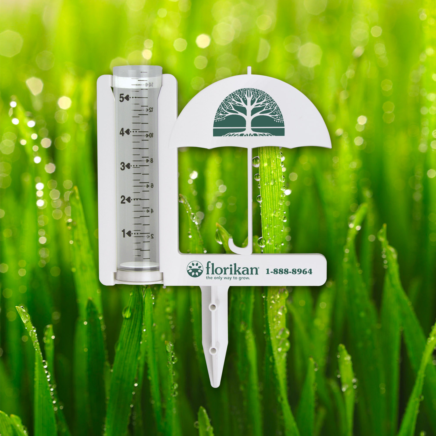 Picture of Umbrella Rain Gauge