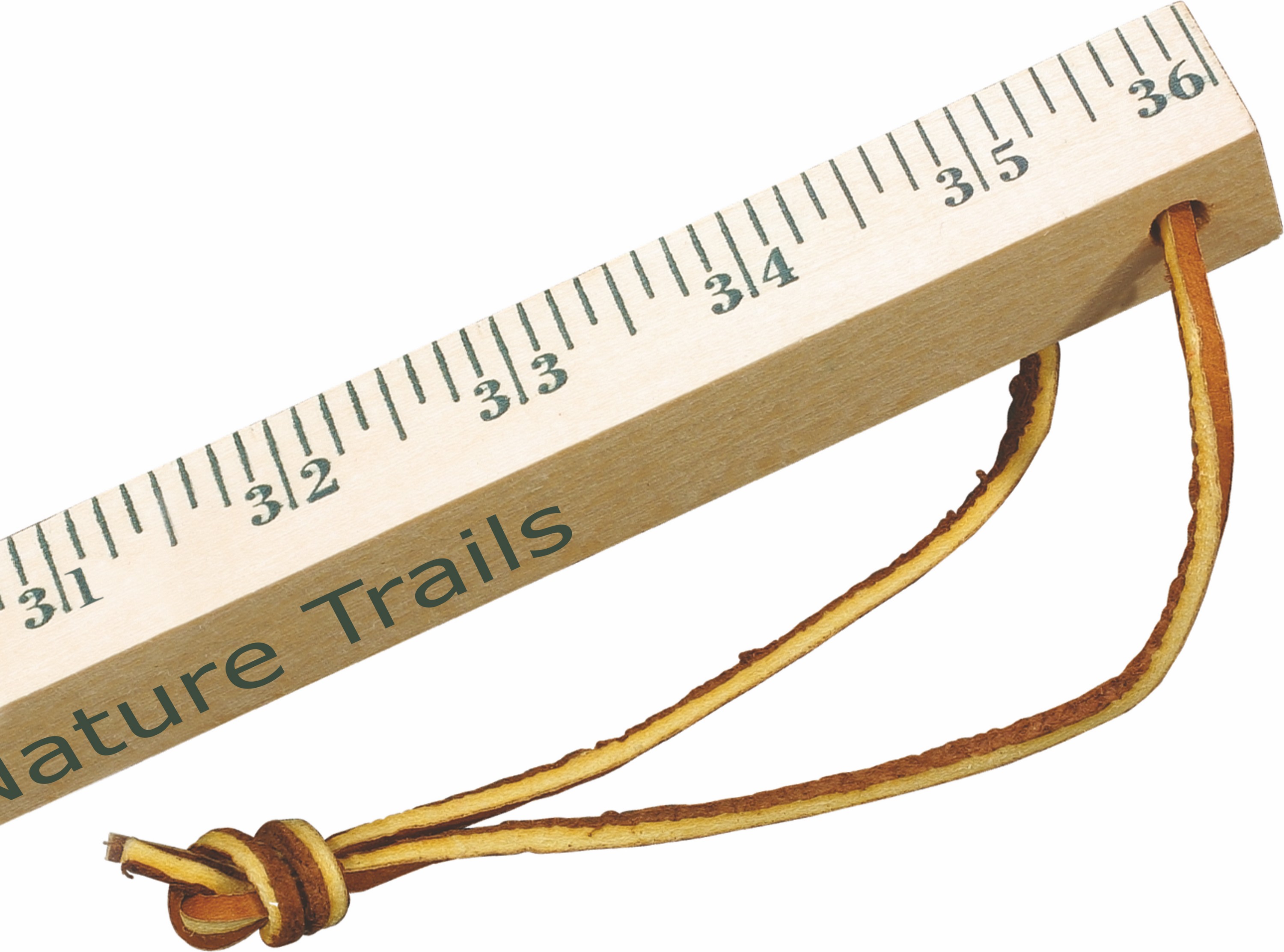 Picture of Walking Sticks - Natural Finish
