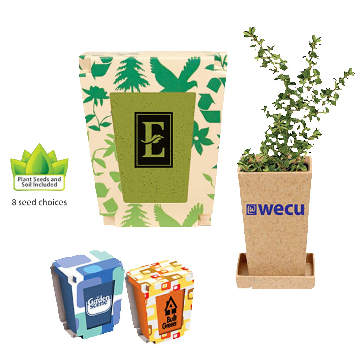 Picture of 1 Pack Promo Planter (Spot Color)