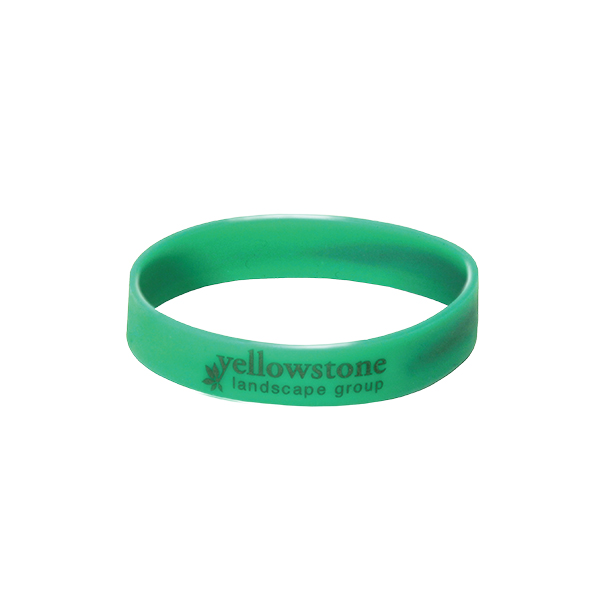 Picture of Insect Repellent Bracelet