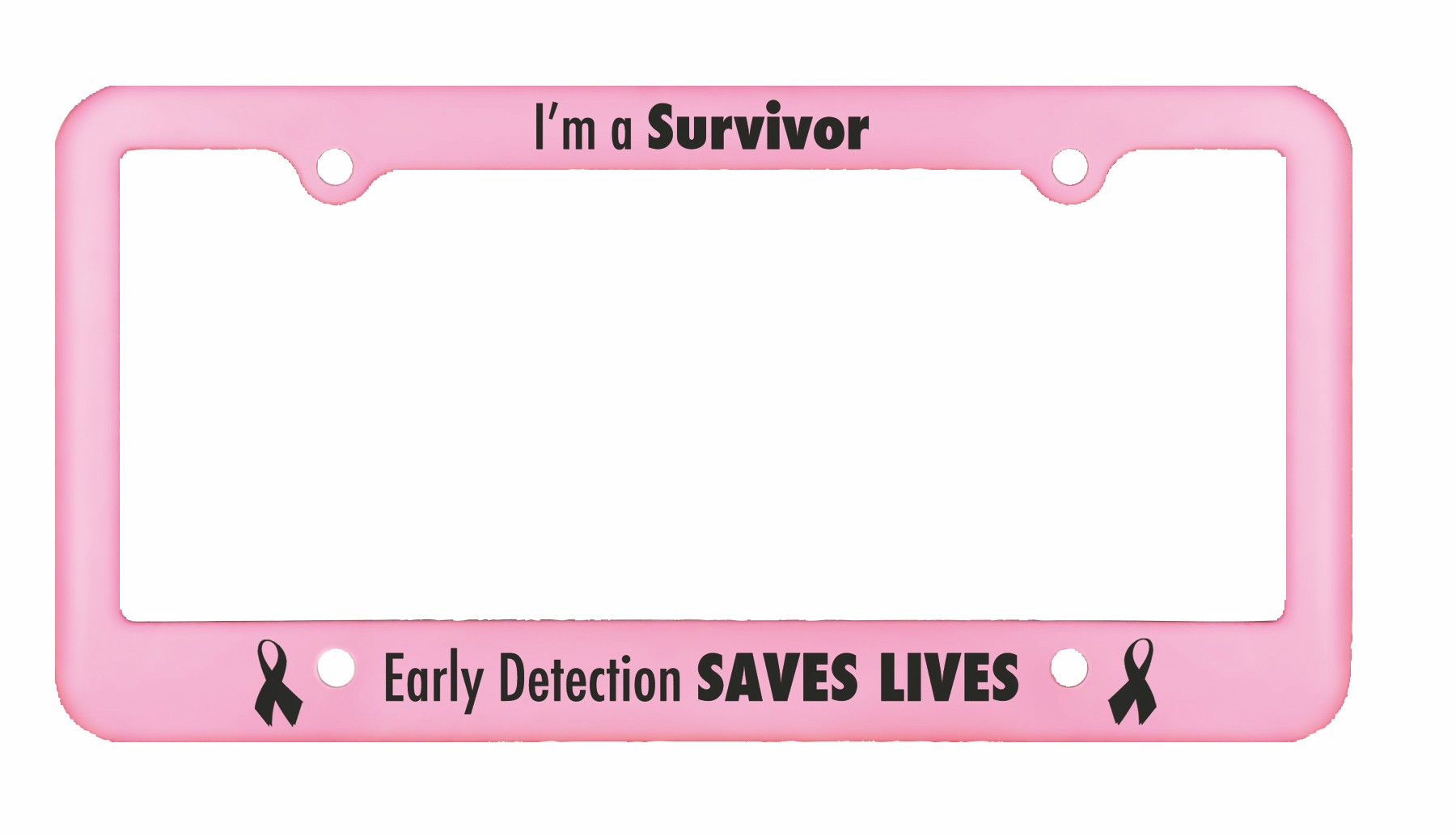 Picture of License Plate Frame w/4 Holes (Spot Color)
