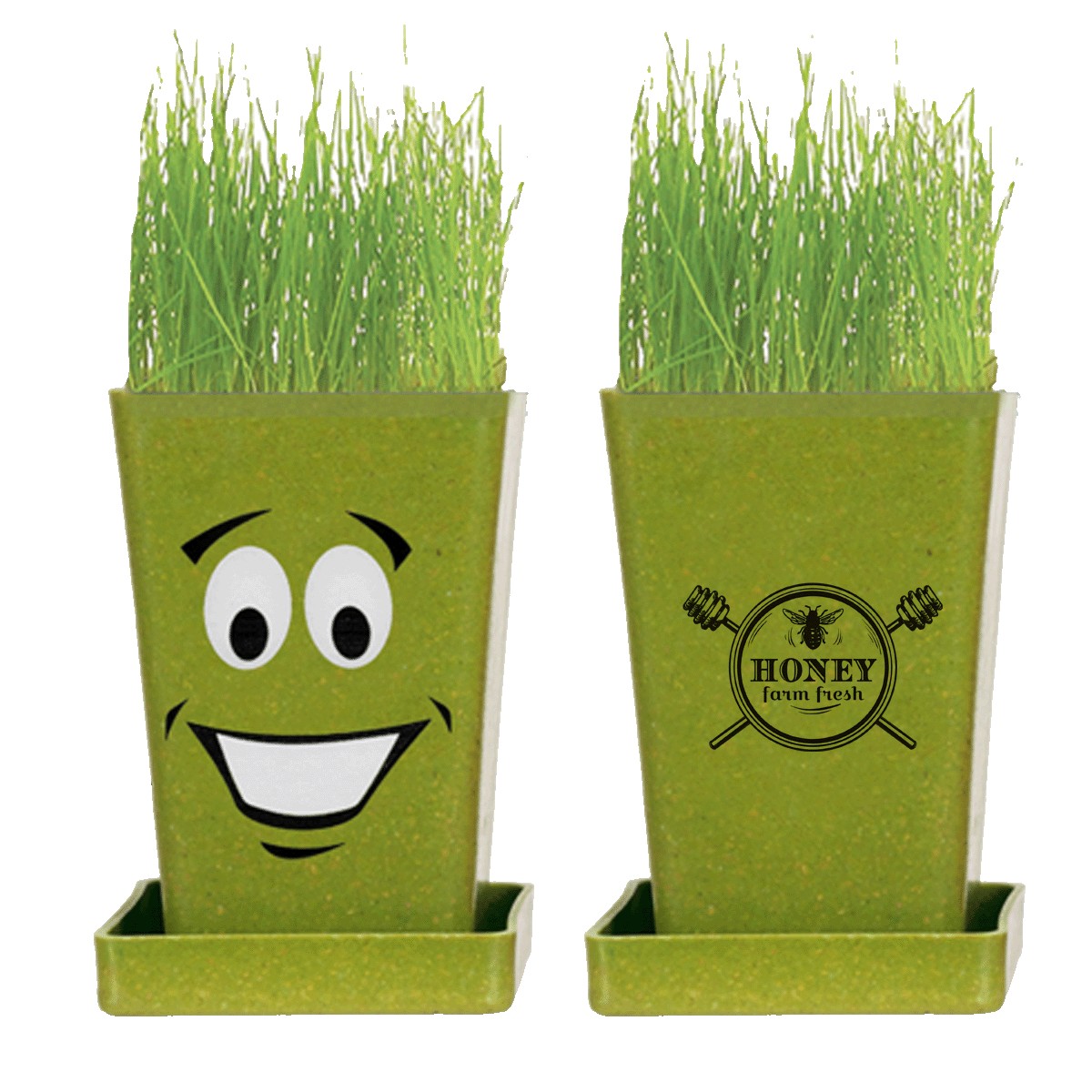 Picture of 1 Pack Expression Planter w/Seeds (Spot Color)