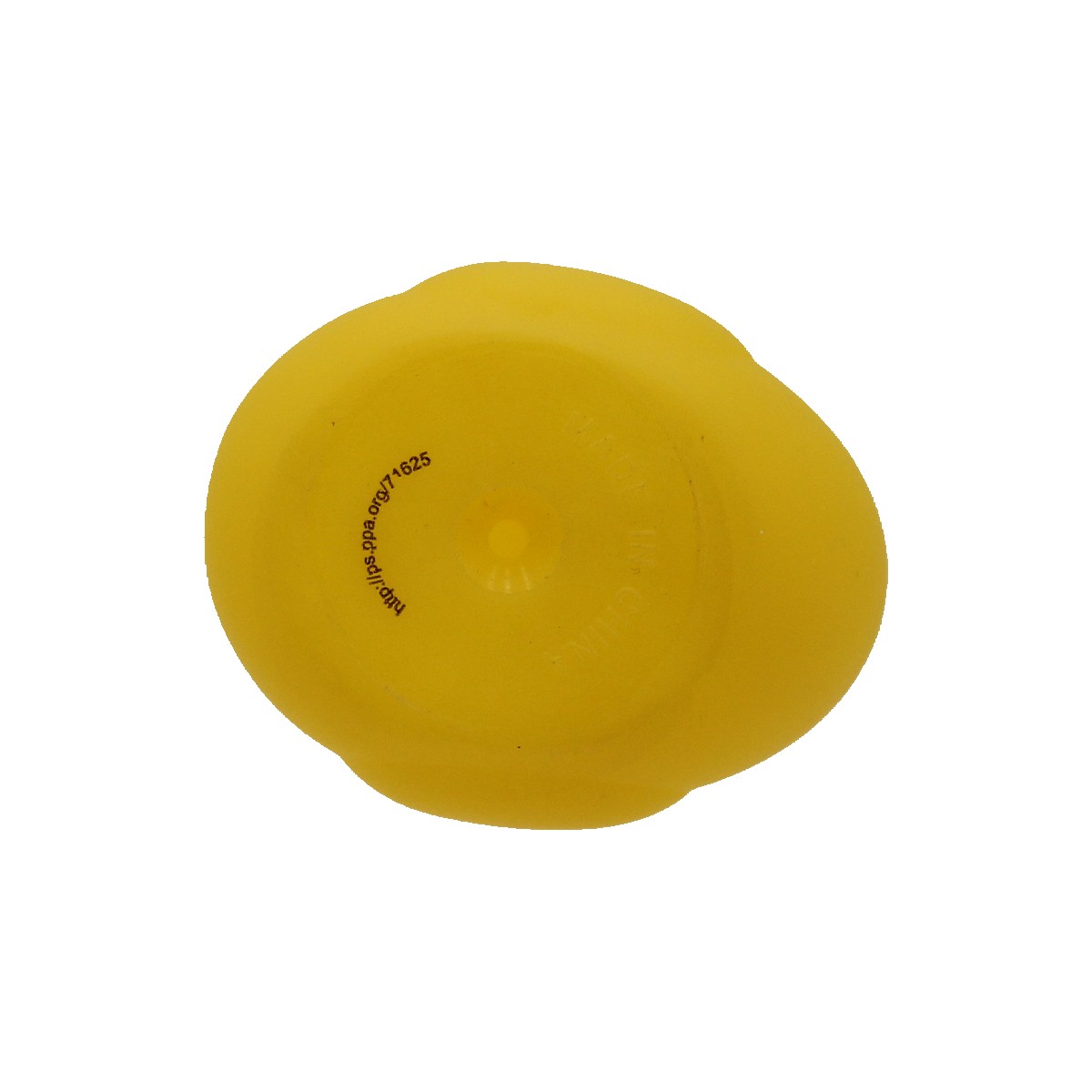 Picture of Safety Duck
