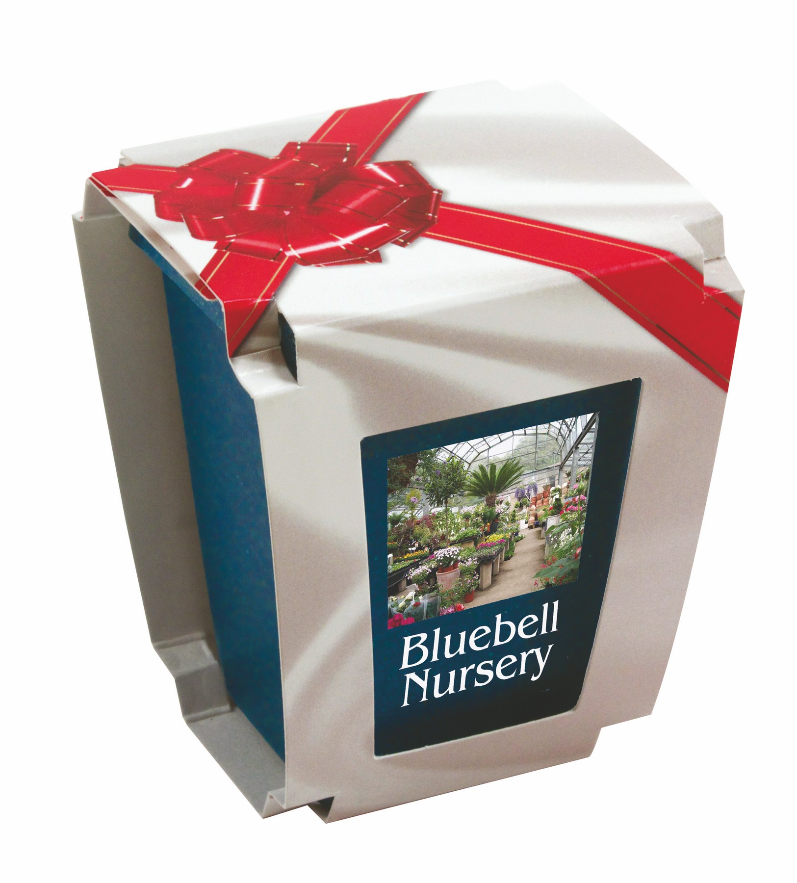 Picture of 1 Pack Promo Planter w/Seeds (Full Color Digital)