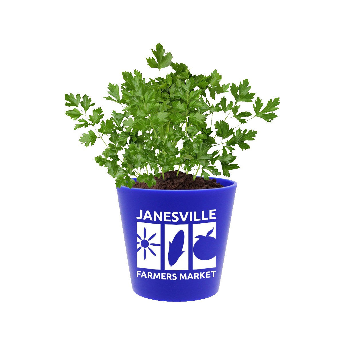 Picture of Recycled Promo Pot