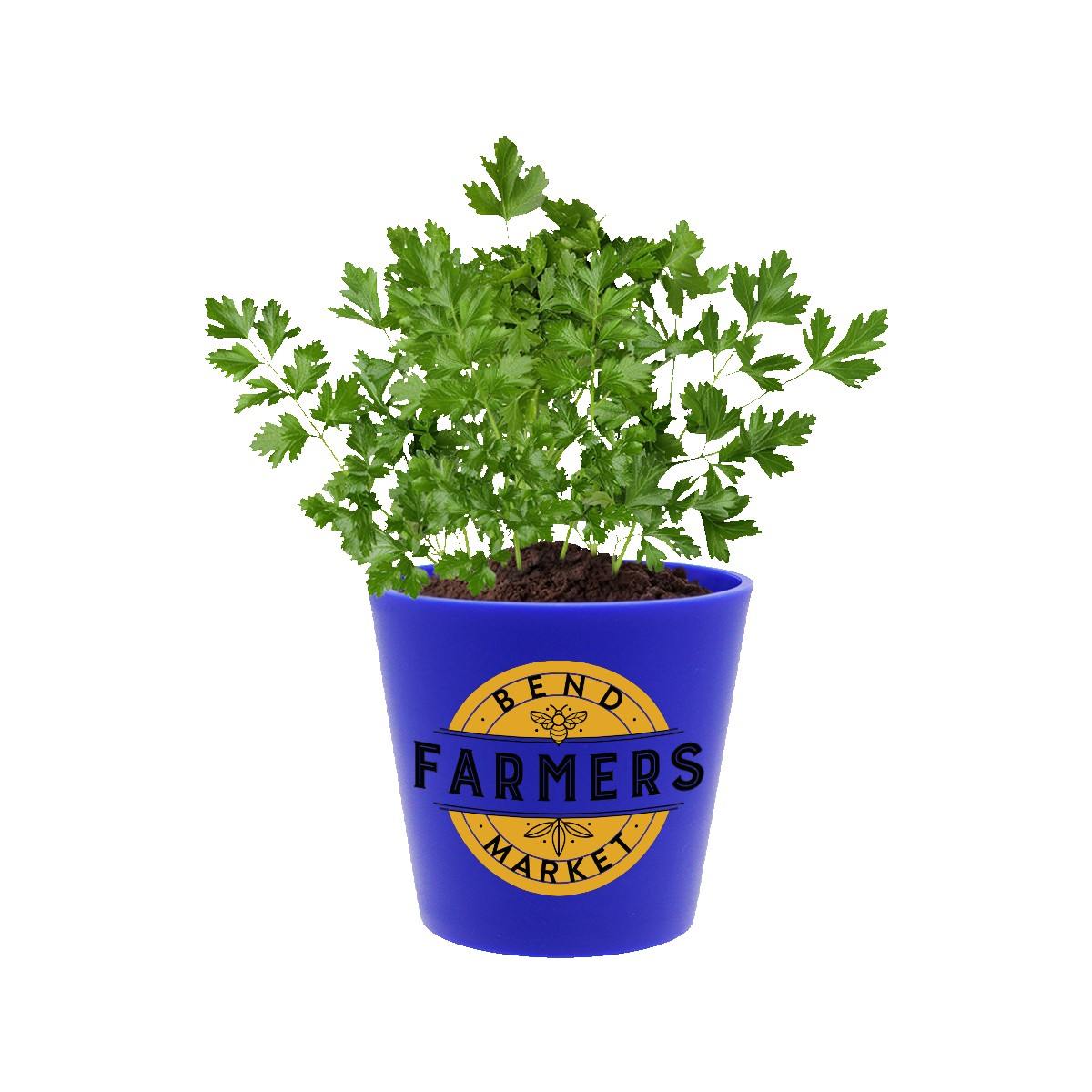 Picture of Recycled Promo Pot, Full Color Digital