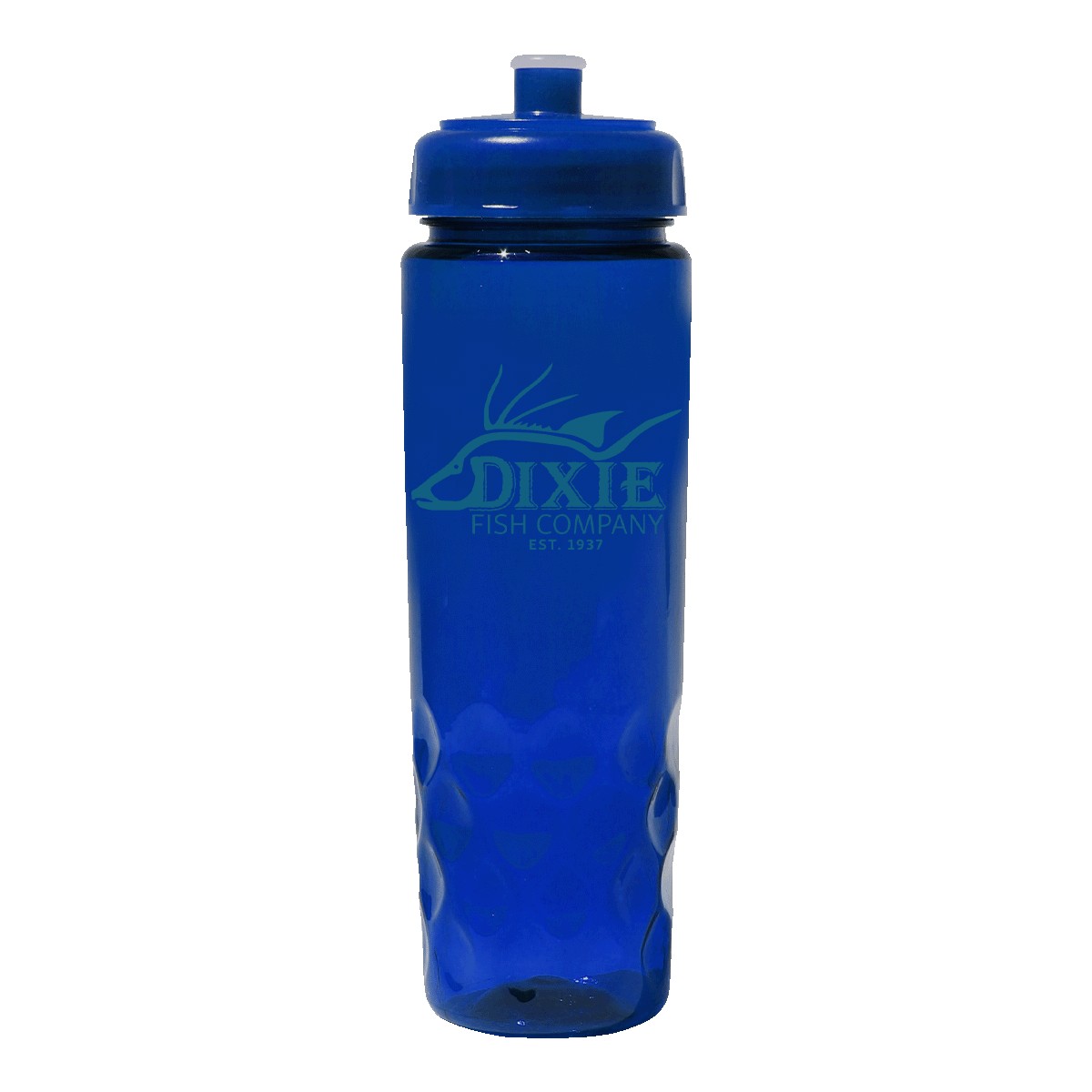 Picture of 24 oz. Oceanworks Bottle with Push 'n Pull Cap
