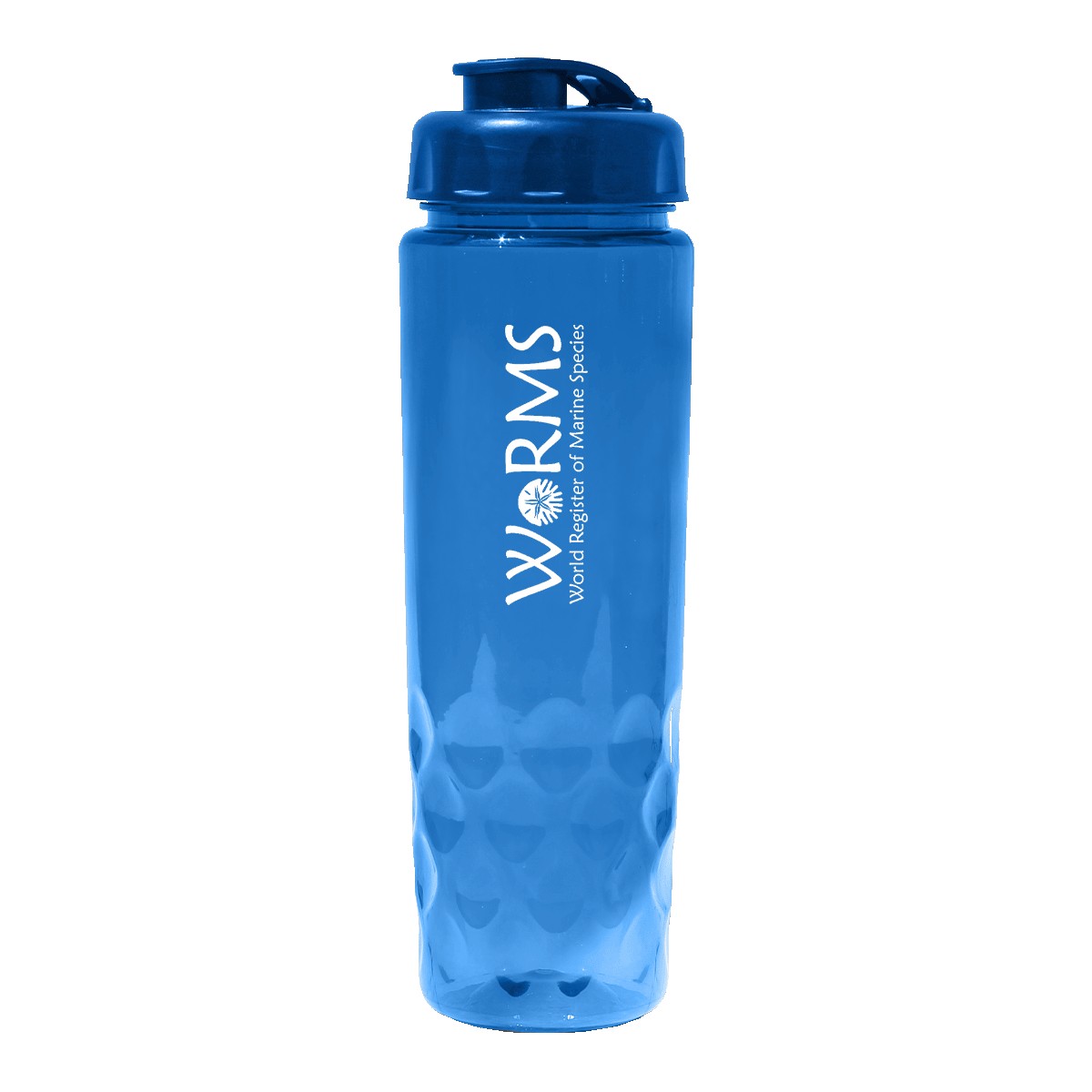 Picture of 24 oz. Oceanworks Bottle with Flip Top Cap