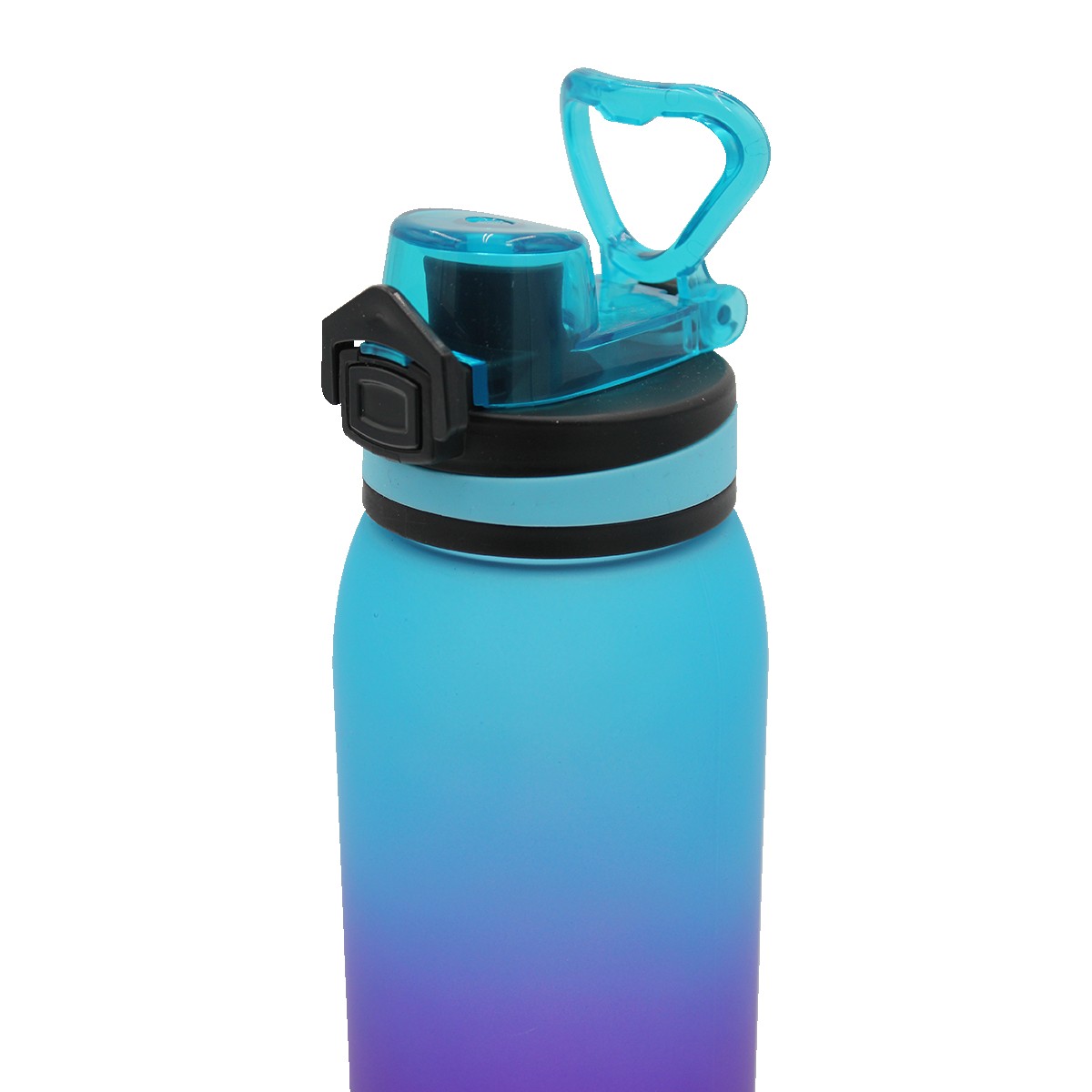 Picture of Halcyon 30 oz. Ombre Sport Bottle - Varnish