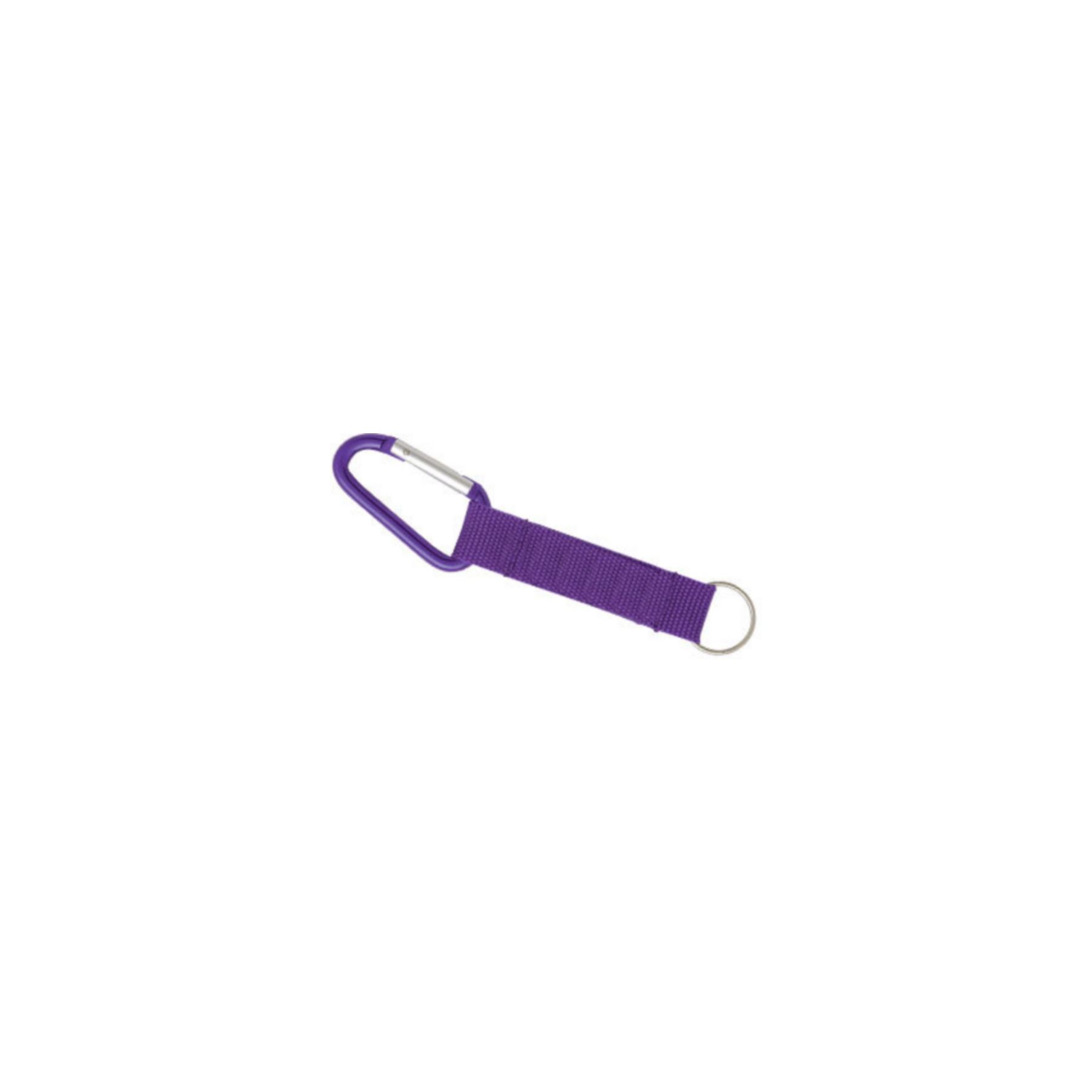 Picture of Carabiner Strap Key Ring