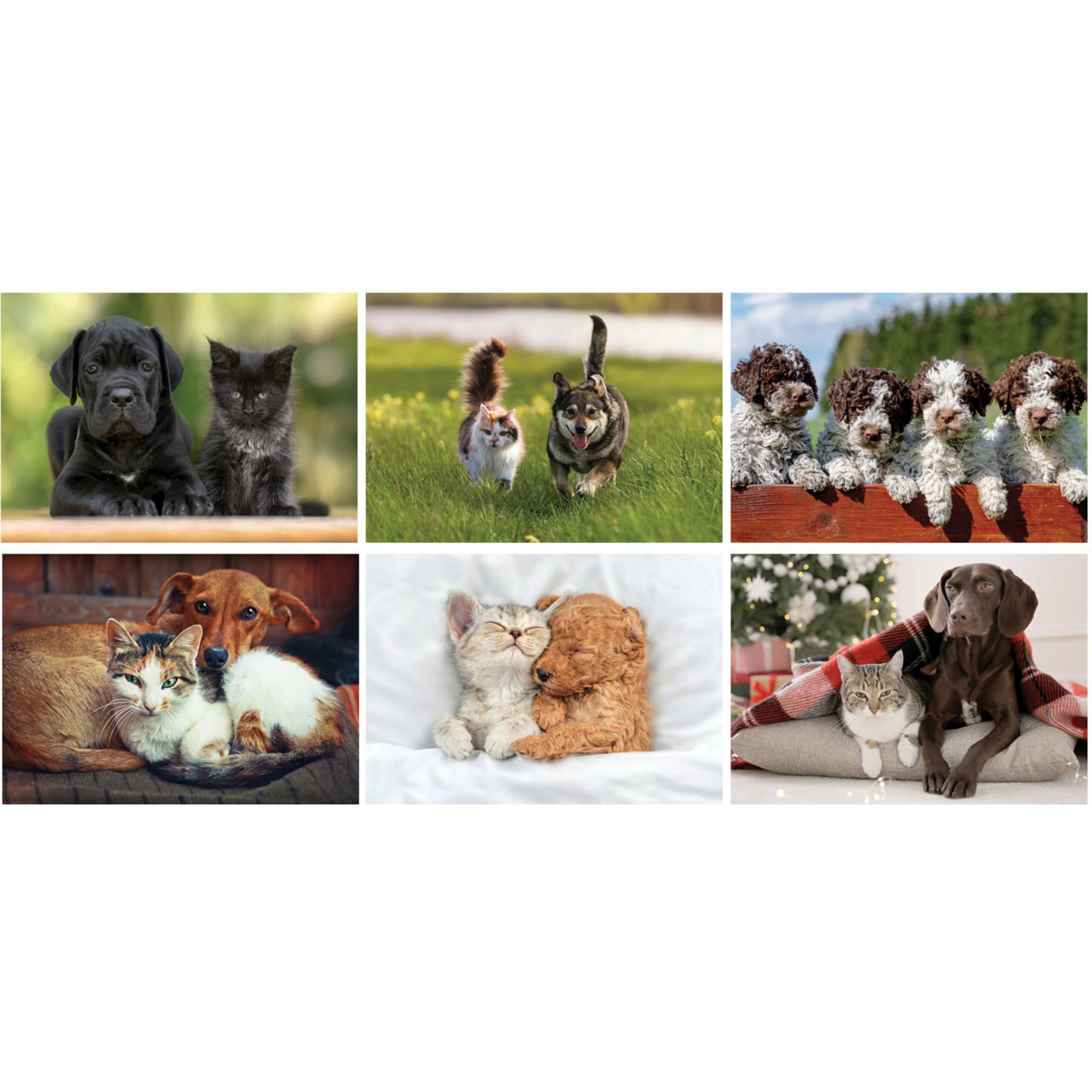 Picture of Furry Friends Stapled Wall Calendar