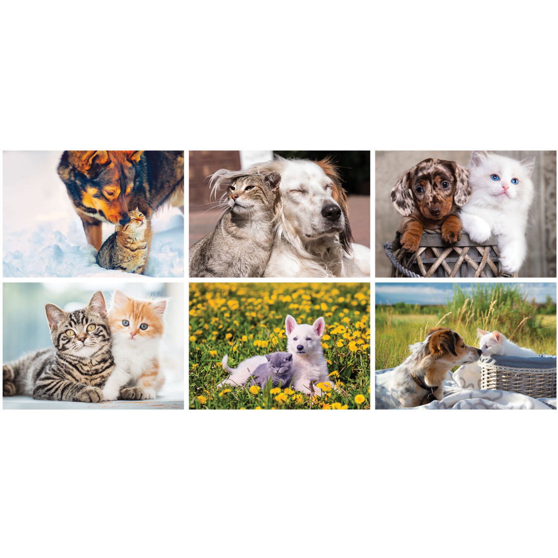 Picture of Furry Friends Stapled Wall Calendar