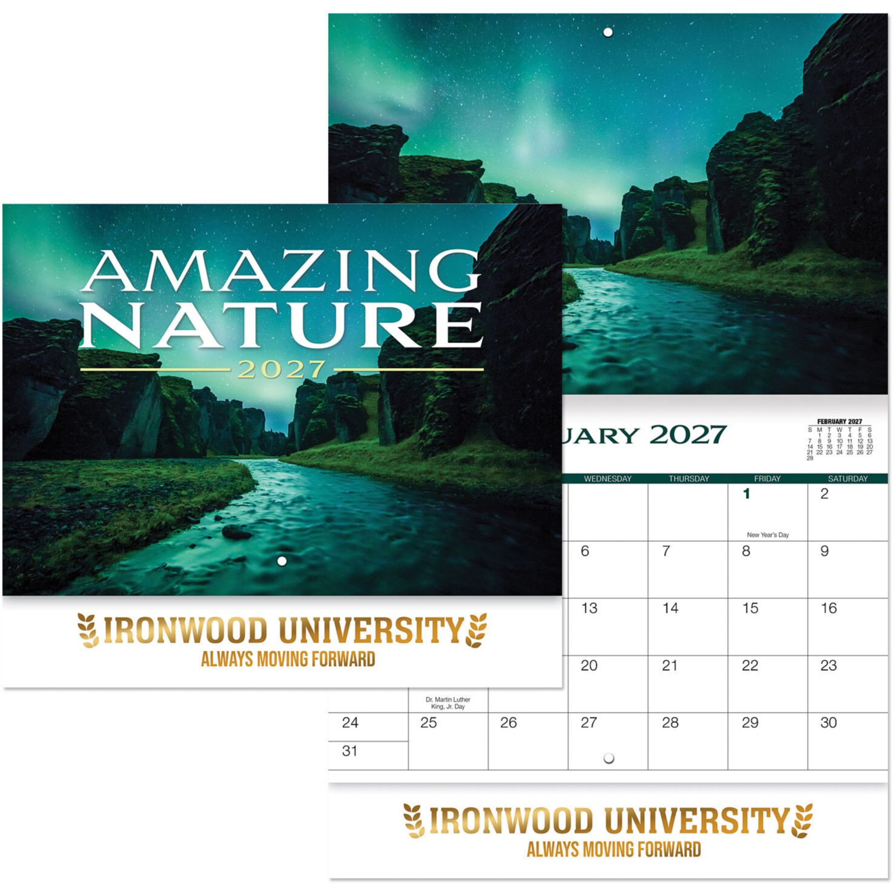 Picture of Luxe Amazing Nature Stapled Wall Calendar