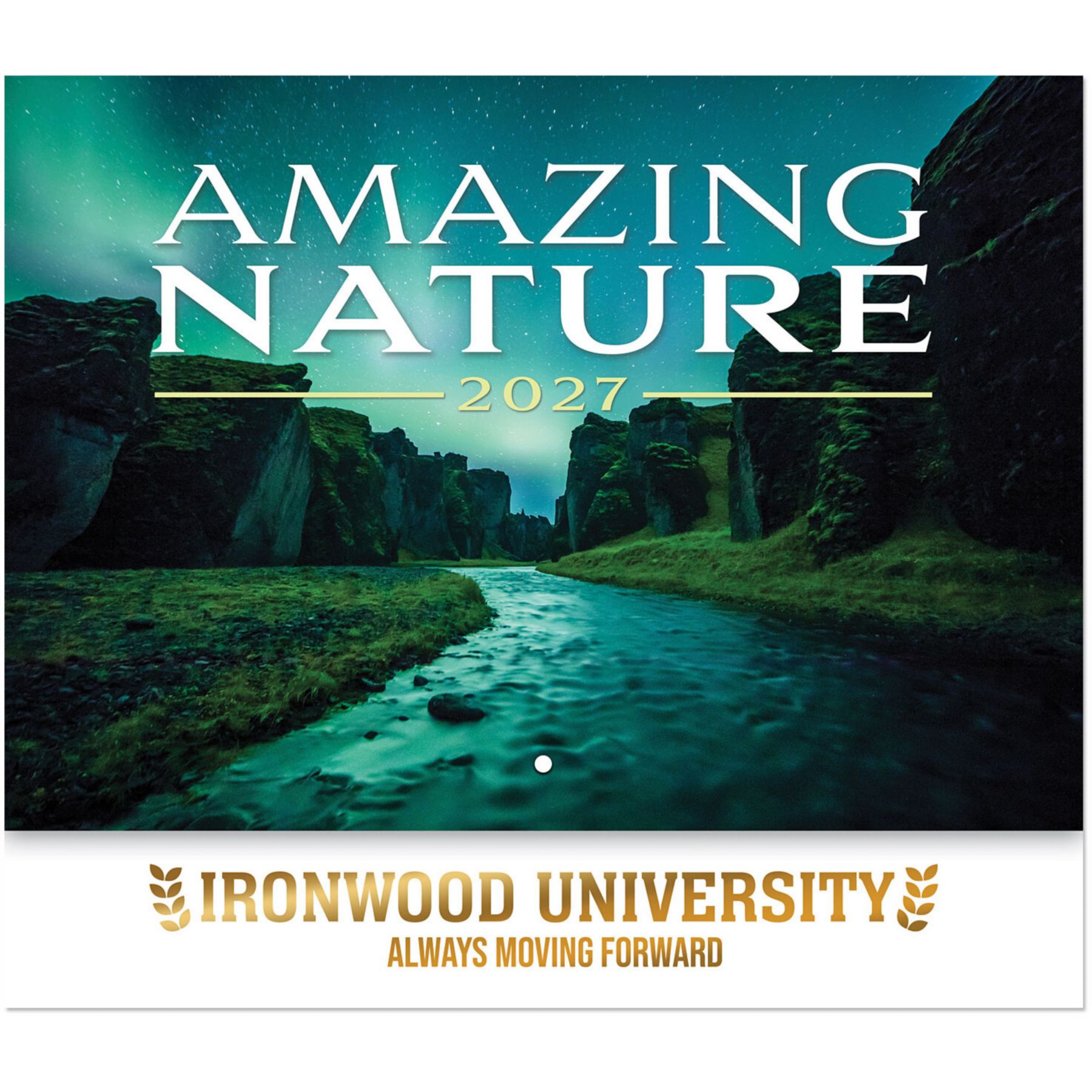 Picture of Luxe Amazing Nature Stapled Wall Calendar
