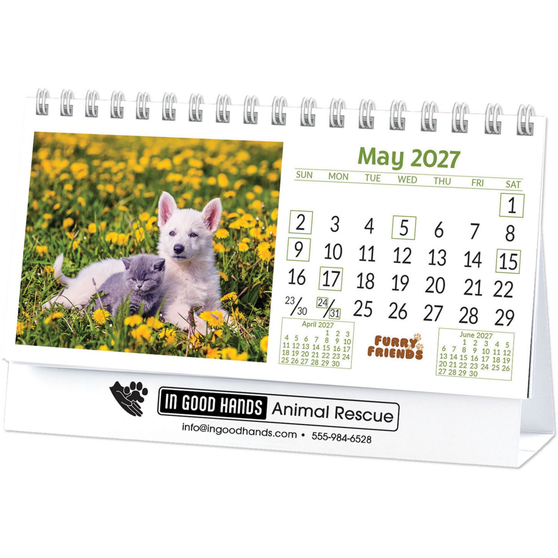 Picture of Furry Friends Desk Calendar