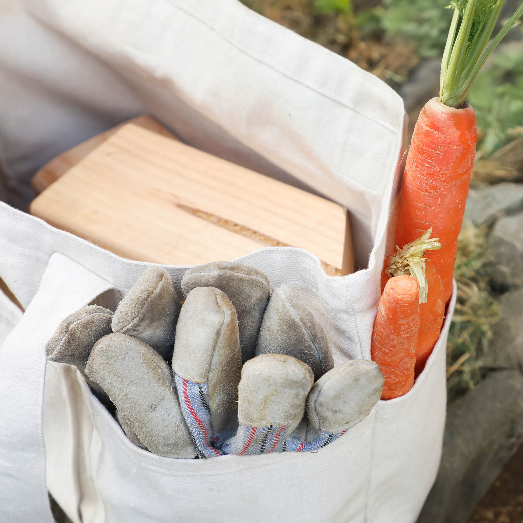 Picture of Evergreen Garden Tool & Produce Bag