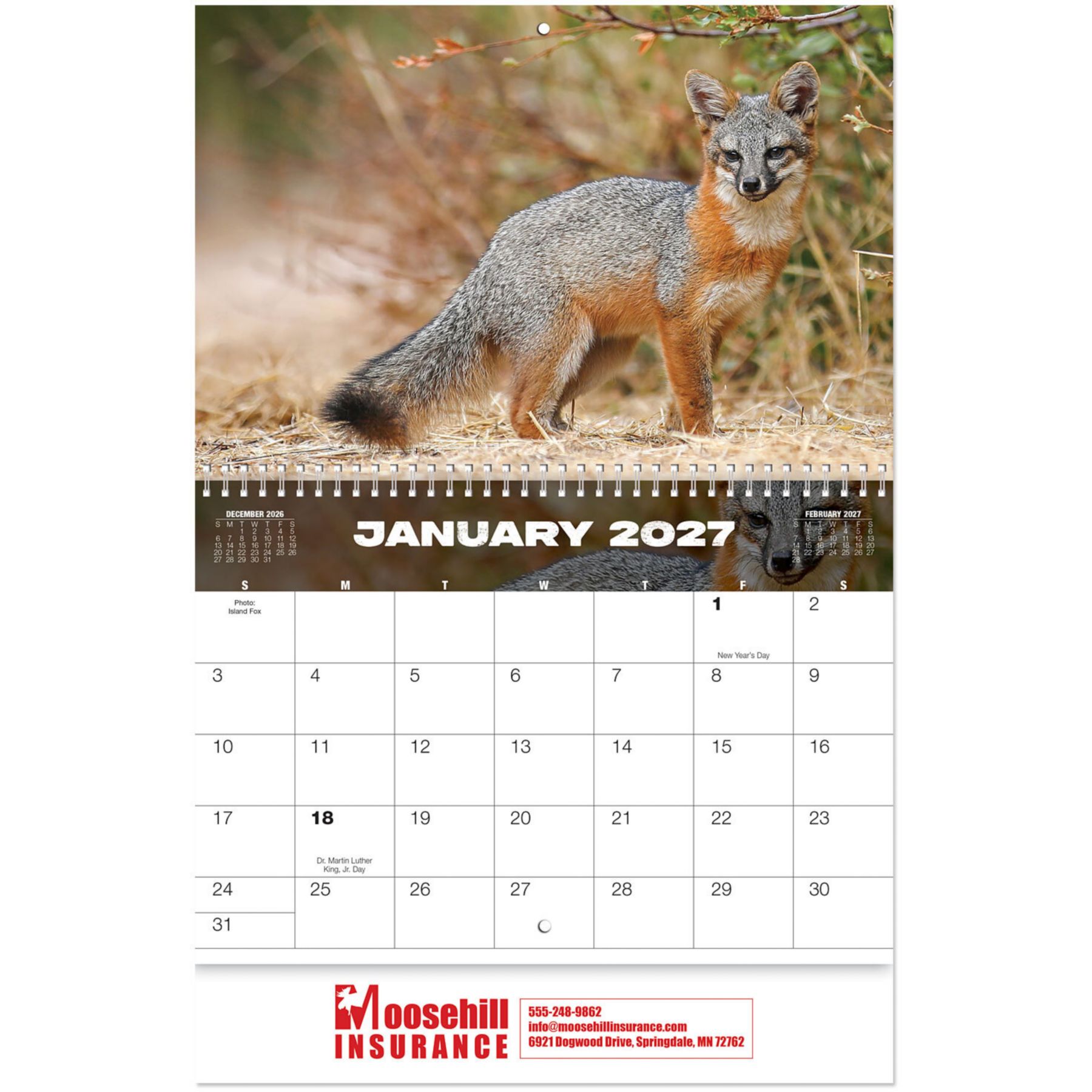 Picture of Wildlife Wall Calendar Spiral