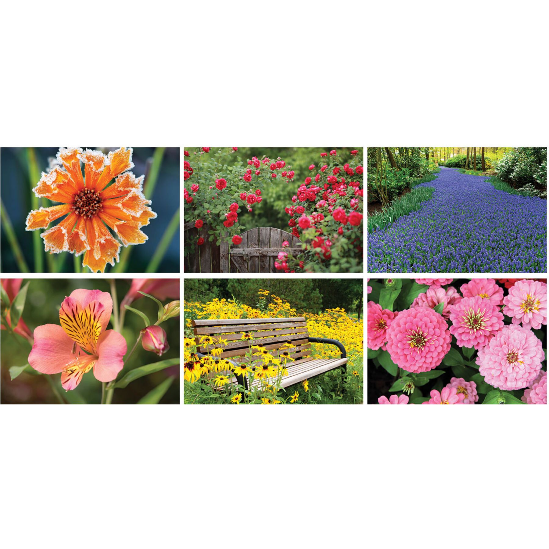 Picture of Garden Splendor Wall Cal Spiral