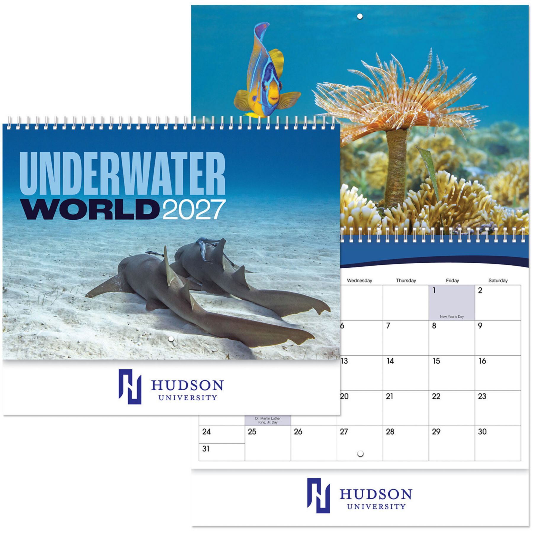 Picture of Underwater World Spiral Wall Calendar