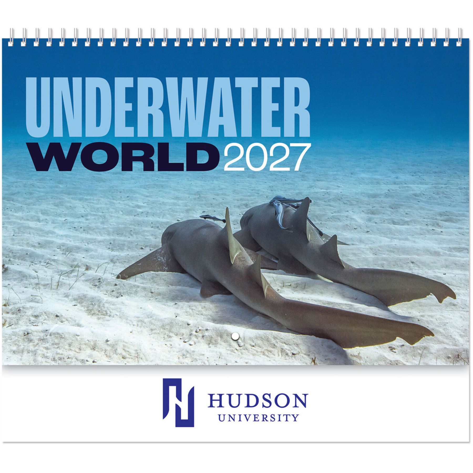 Picture of Underwater World Spiral Wall Calendar