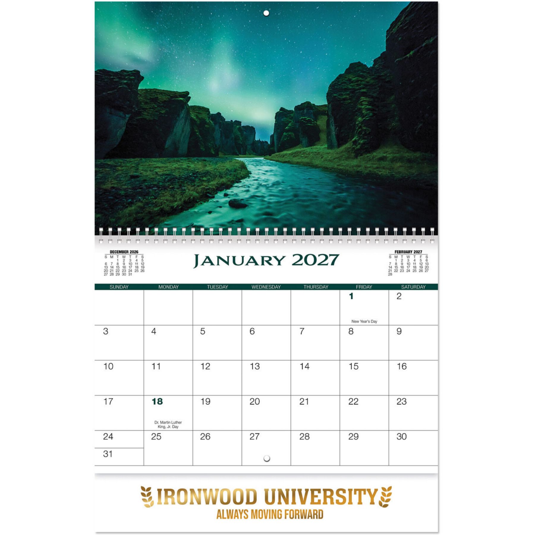 Picture of Amazing Nature Spiral Wall Calendar