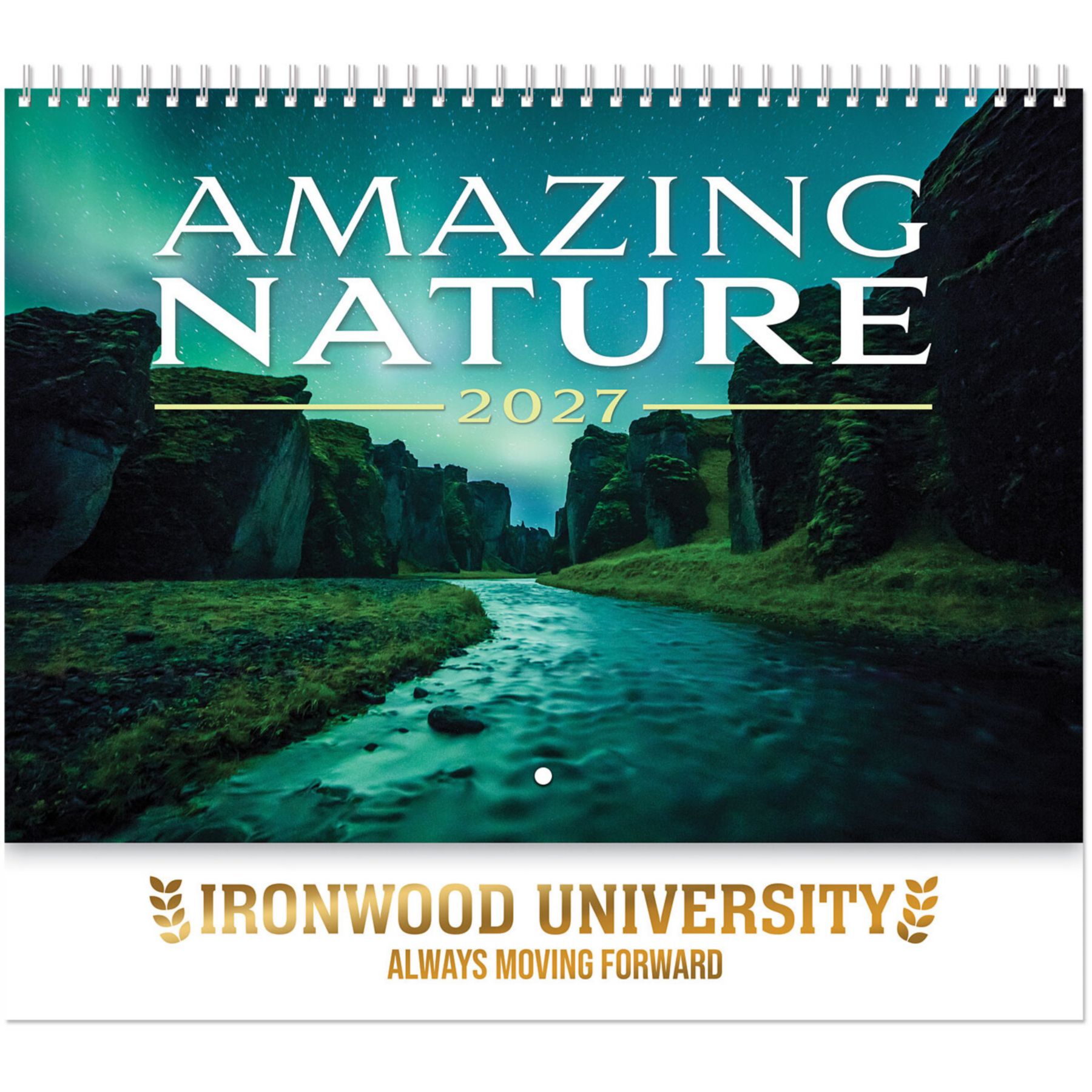Picture of Amazing Nature Spiral Wall Calendar