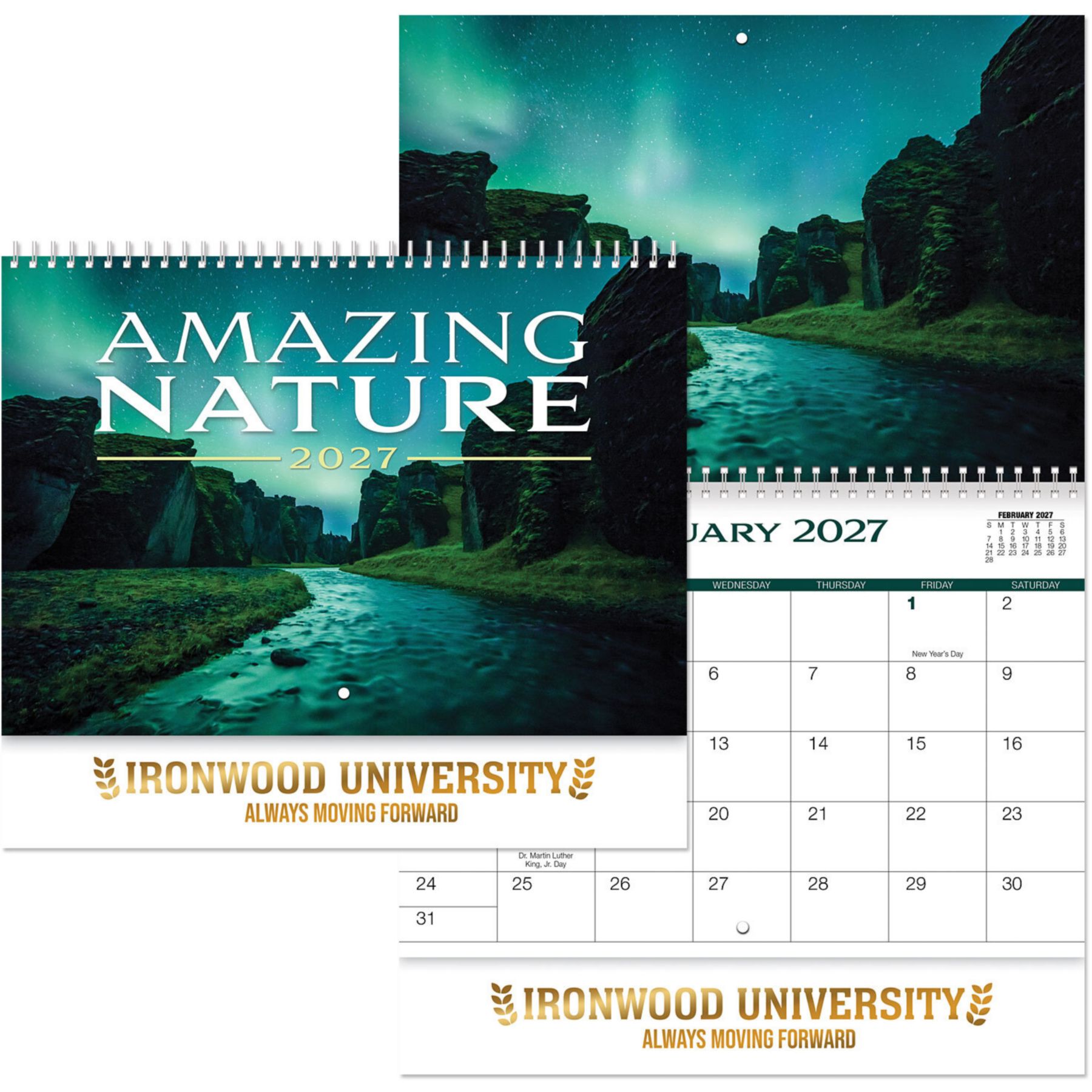 Picture of Amazing Nature Spiral Wall Calendar