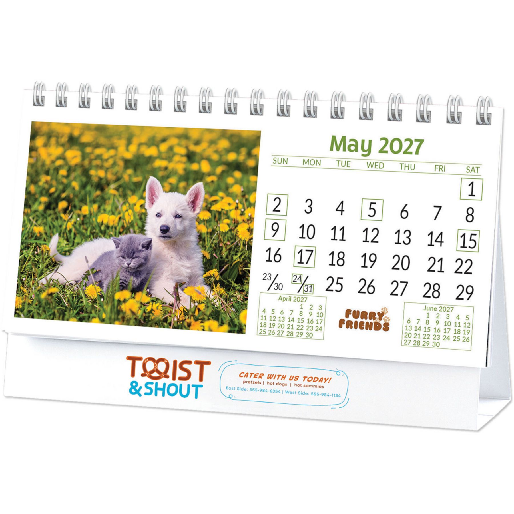 Picture of Full Color Furry Friends Desk Calendar