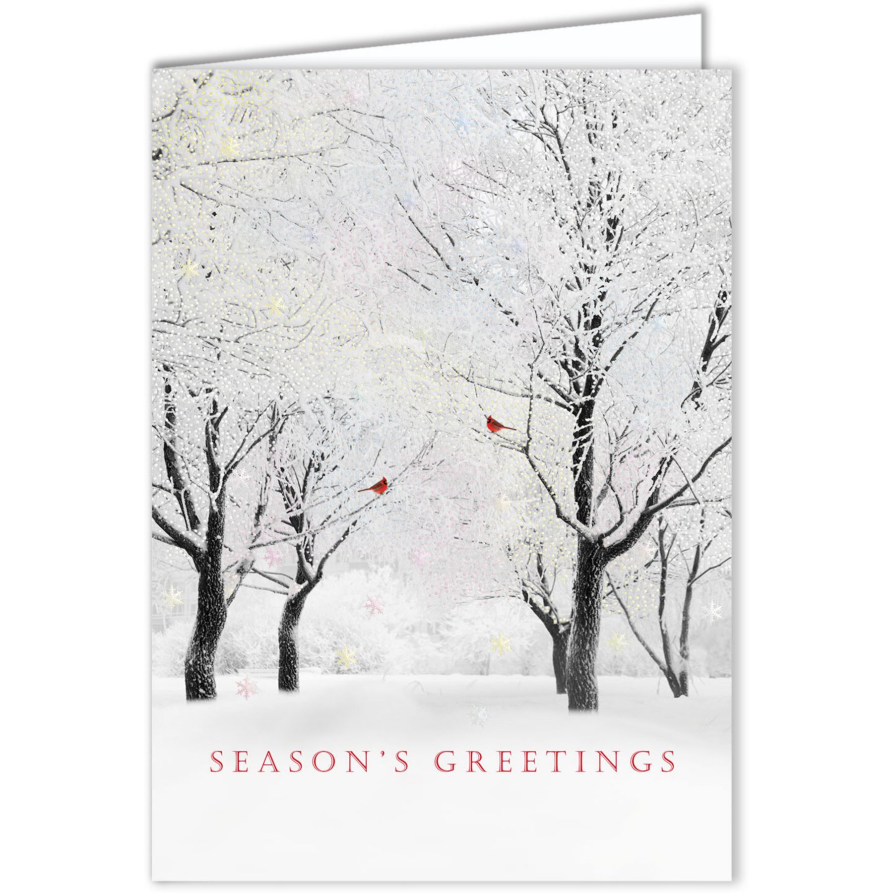 Picture of White Forest Holiday Card