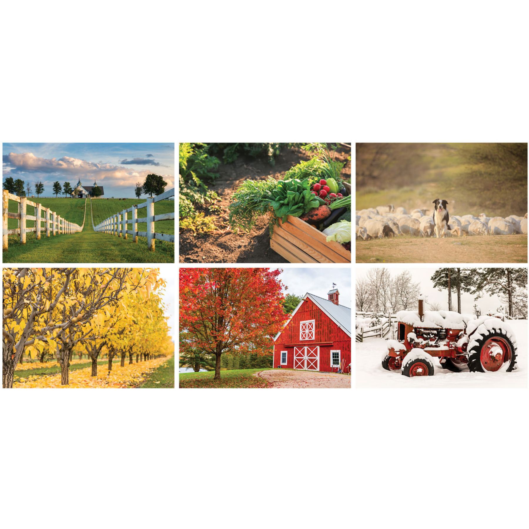Picture of Country Memories Wall Cal Spiral