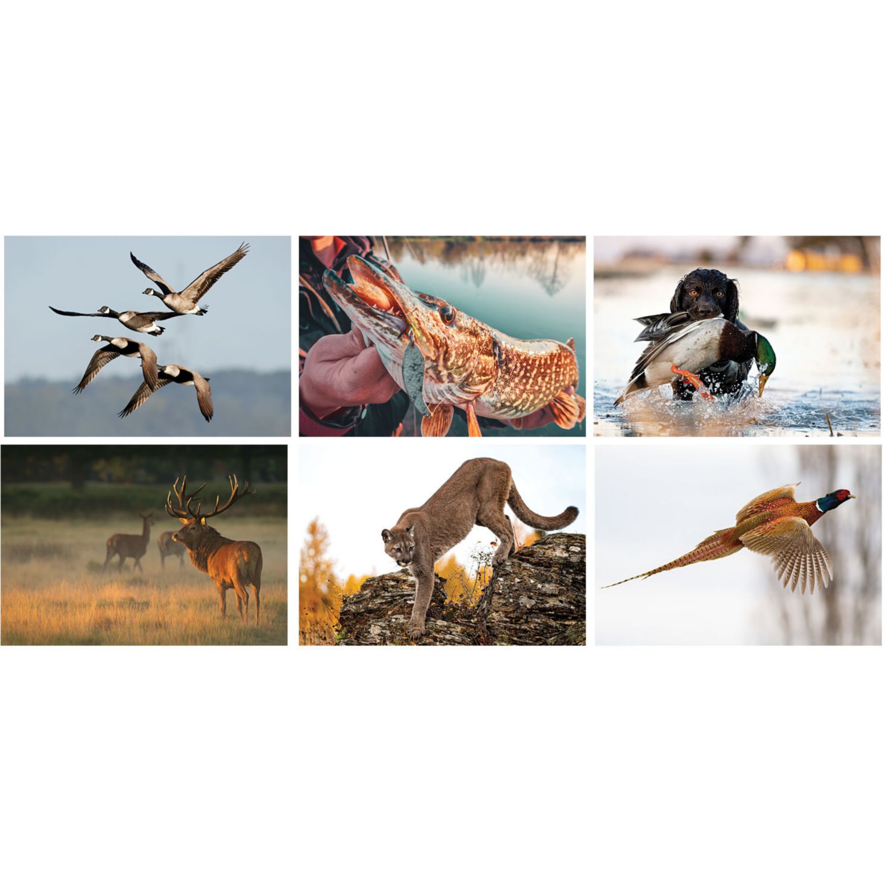 Picture of Full Color Sportsman Spiral Wall Calendar