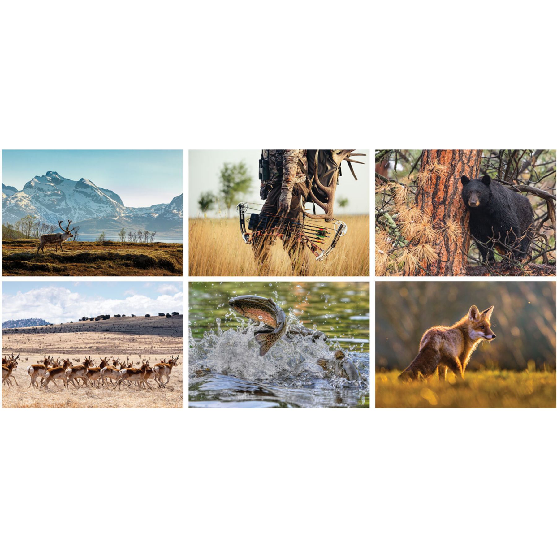 Picture of Full Color Sportsman Spiral Wall Calendar