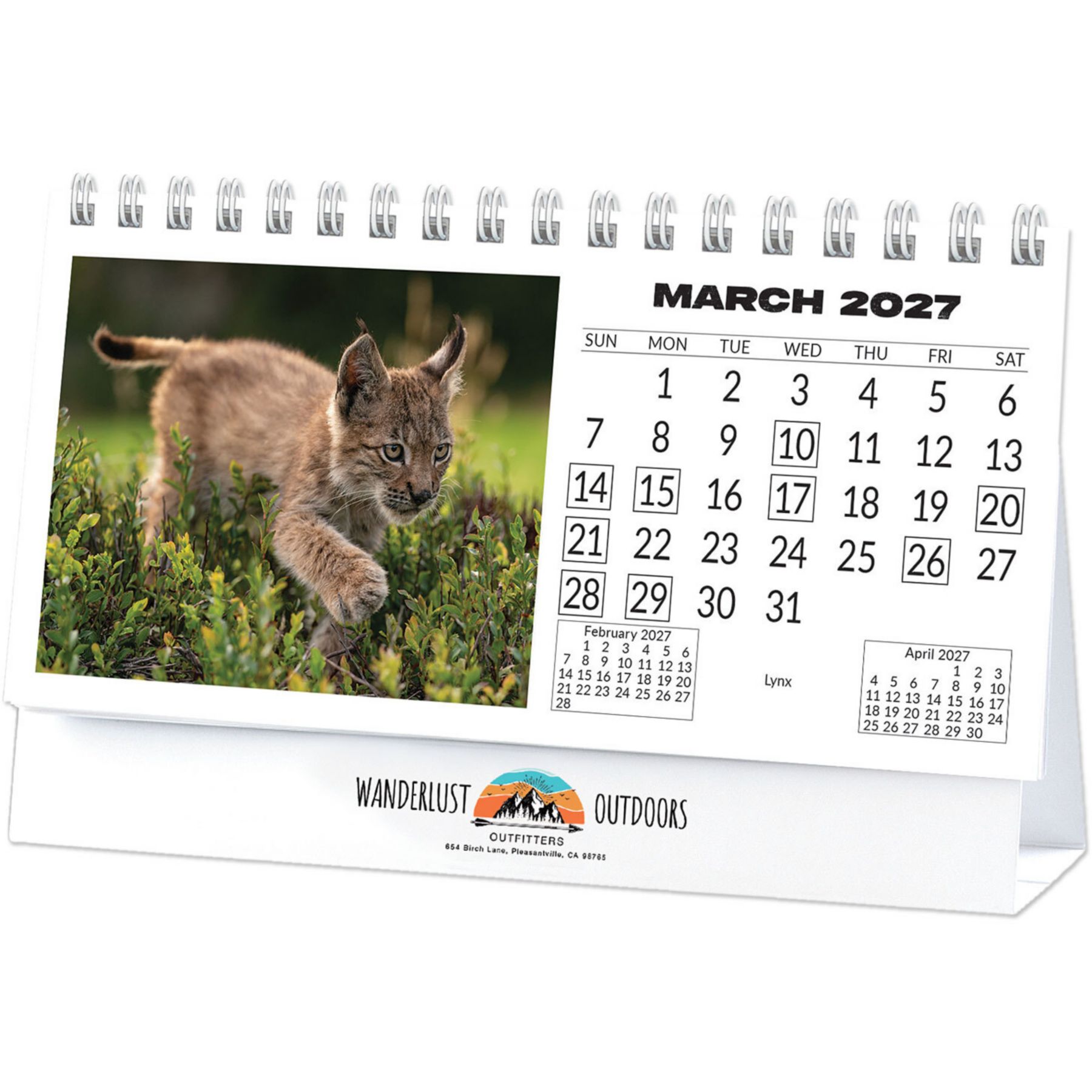 Picture of North American Wildlife Full Color Desk Calendar