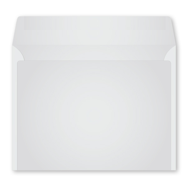 Picture of Monthly Monitor Envelope