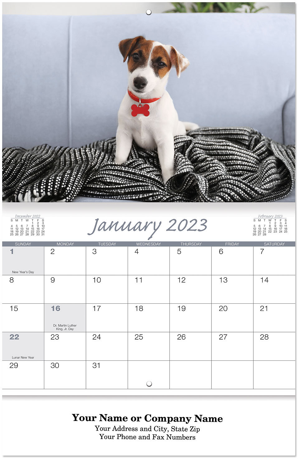 Picture of Canine Companions Stapled Wall Calendar