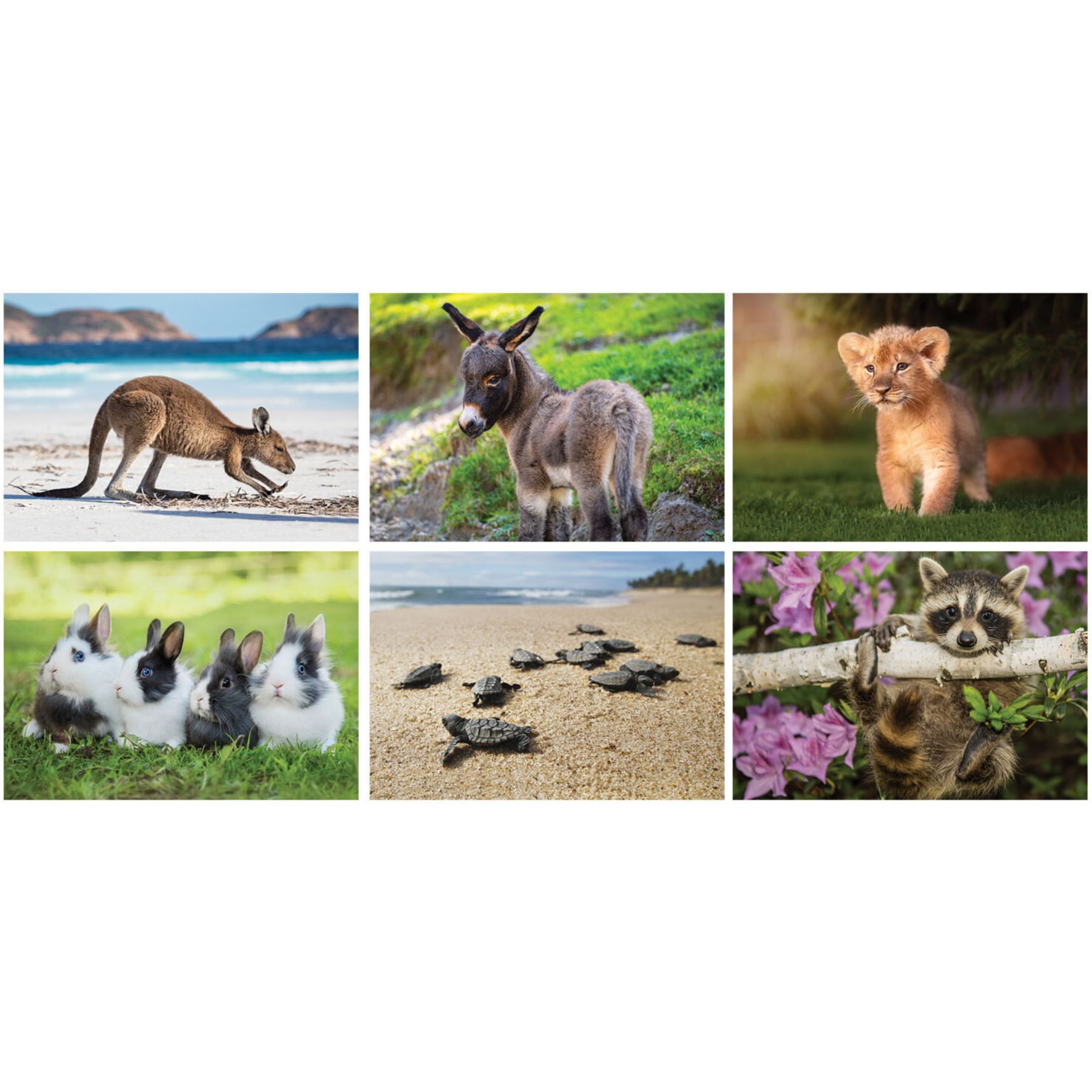 Picture of Baby Animals Stapled Wall Calendar