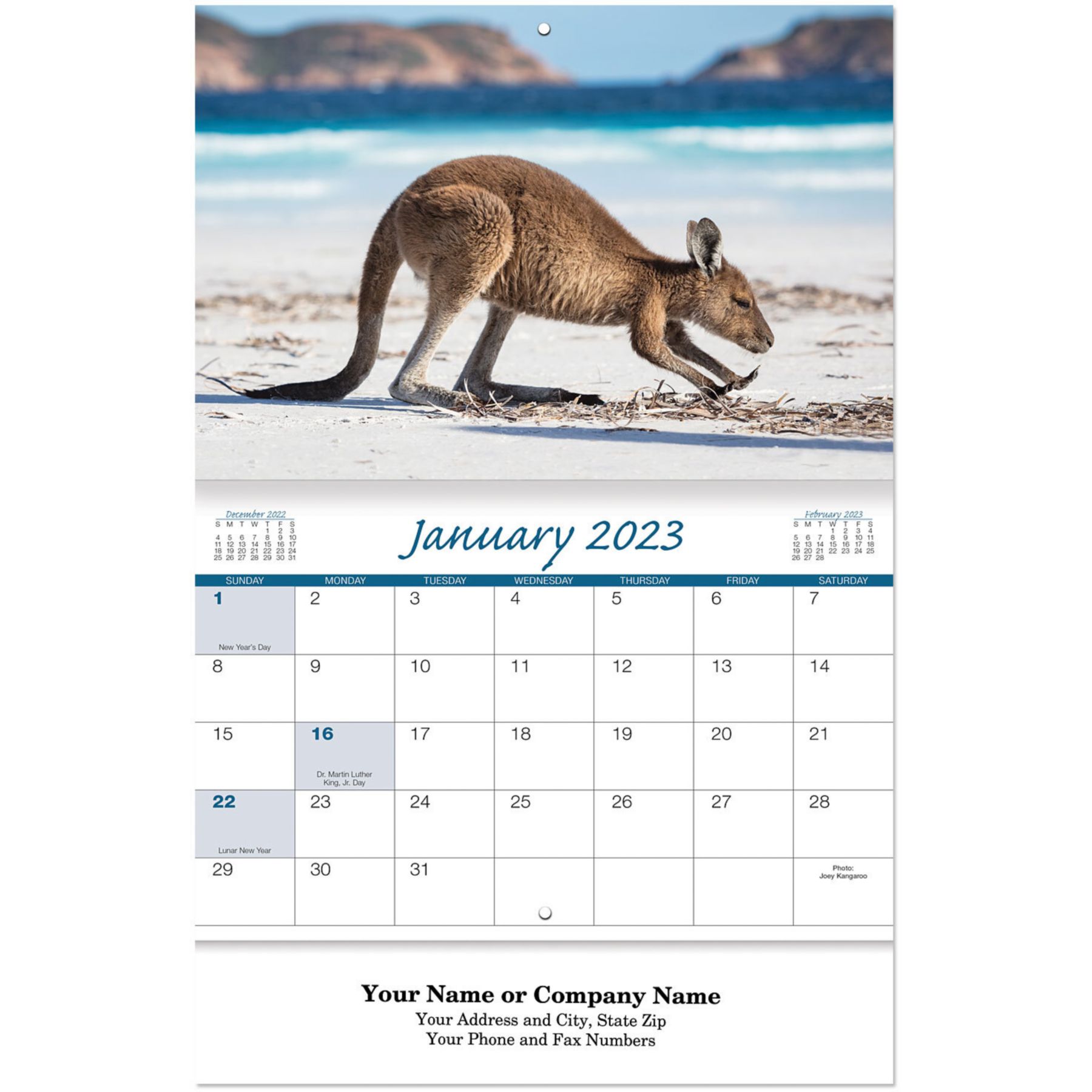Picture of Baby Animals Stapled Wall Calendar