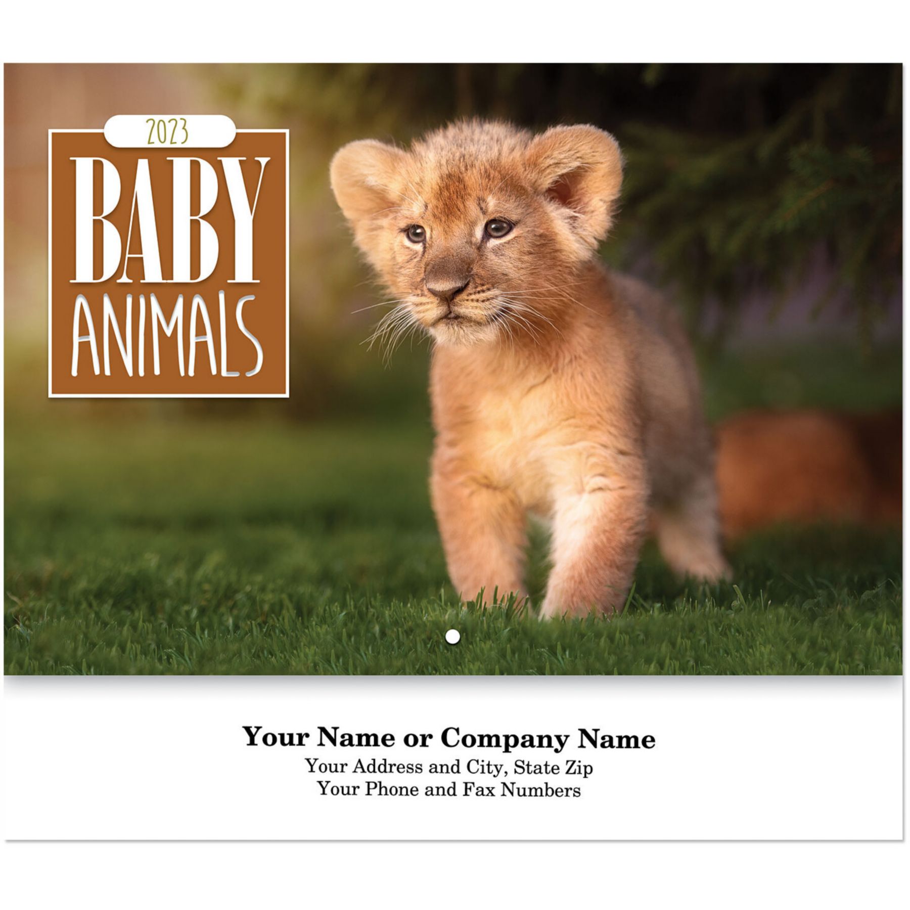 Picture of Baby Animals Stapled Wall Calendar