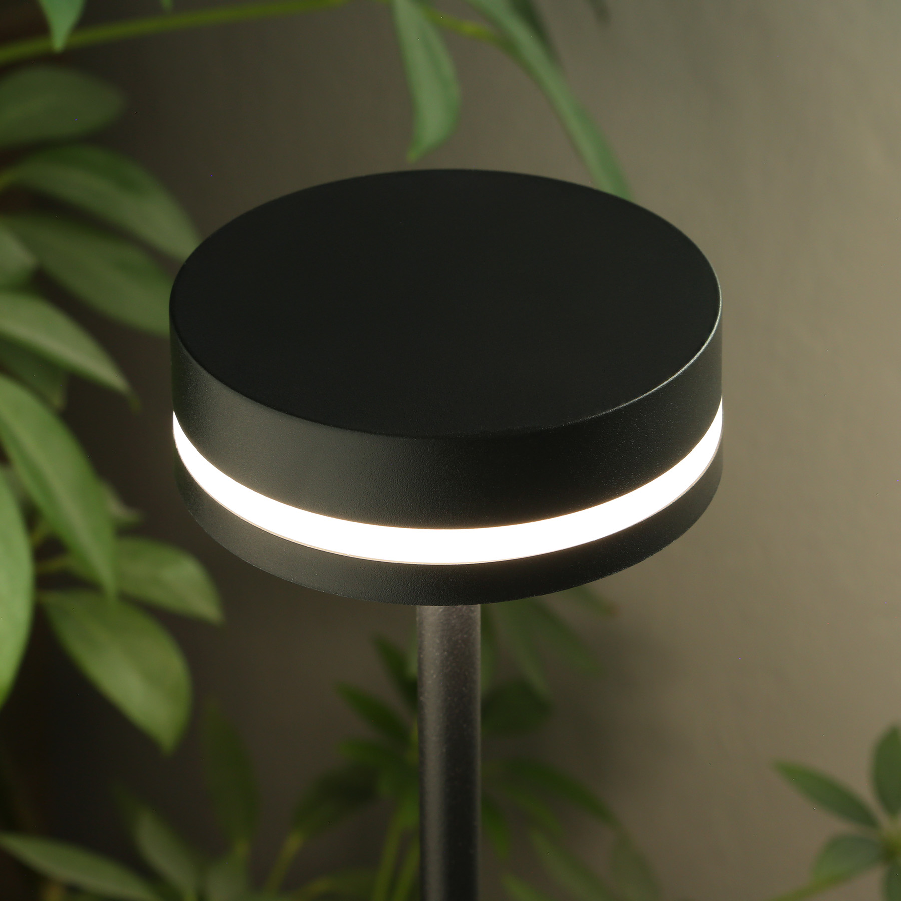 Picture of reNew Nightshade Rechargeable Desk Lamp