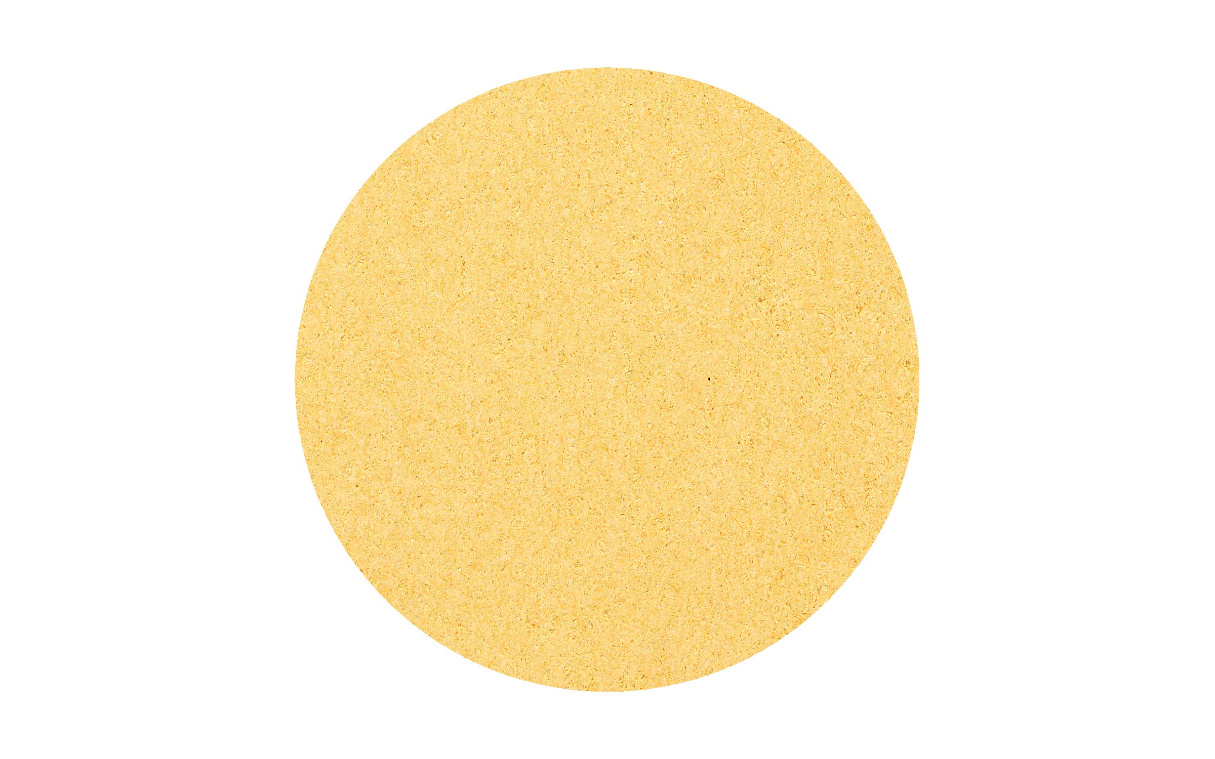 Picture of 4" Econo Compressed Circle Sponge