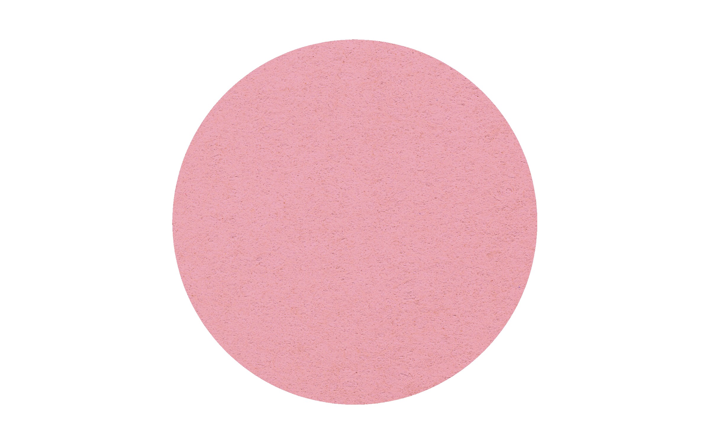 Picture of 4" Econo Compressed Circle Sponge